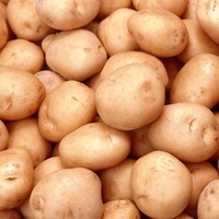 Лига, семенной картофель 