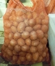 Коломба, семенной картофель